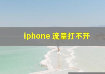 iphone 流量打不开